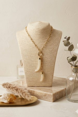 Collar doble acero detalle cuerno